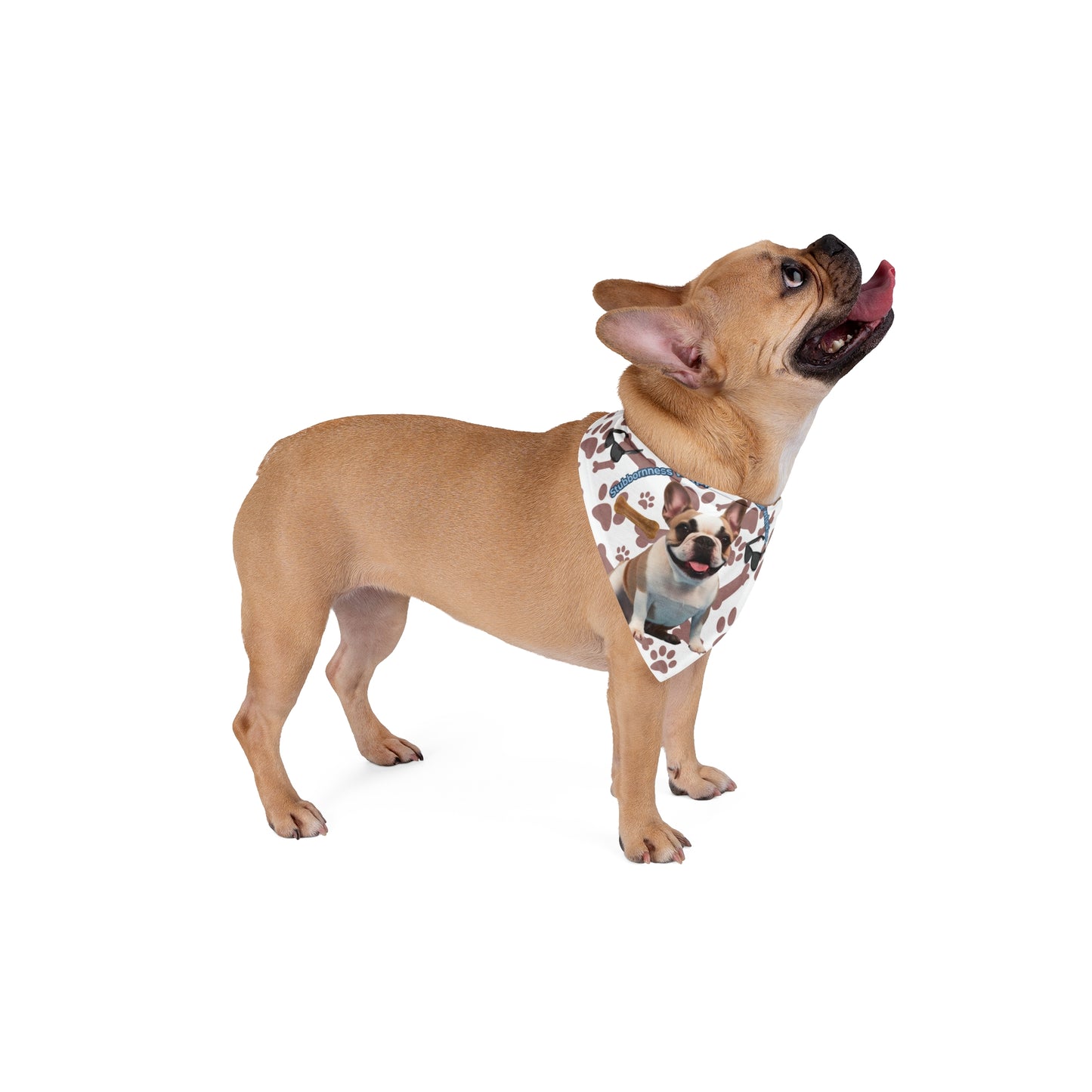 Stylish Bandana for French Bulldogs – Comfortable and Trendy